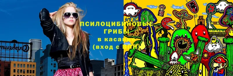 Галлюциногенные грибы Psilocybe  omg сайт  Канск  что такое  